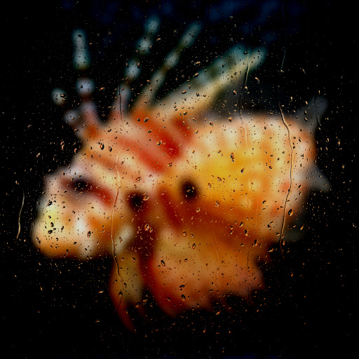 Variation 7