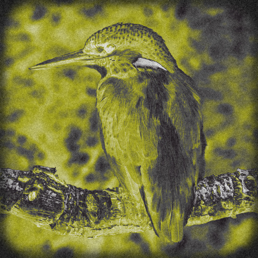 Variation 4