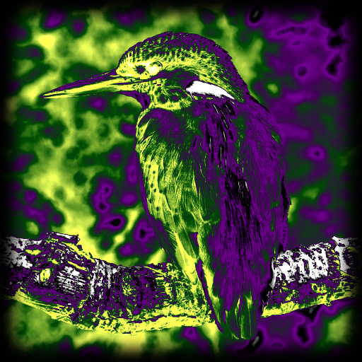 Variation 8