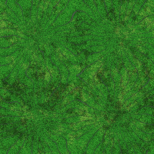 Variation 8