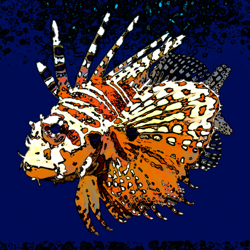 Variation 3