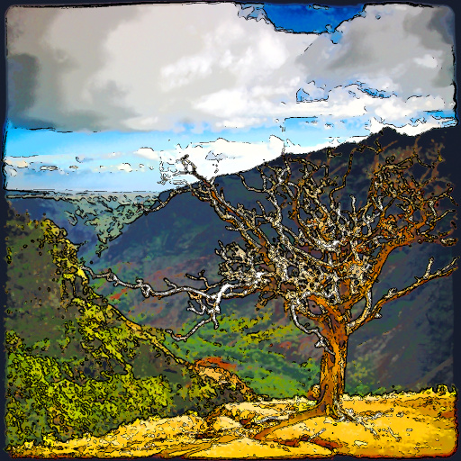 Variation 5