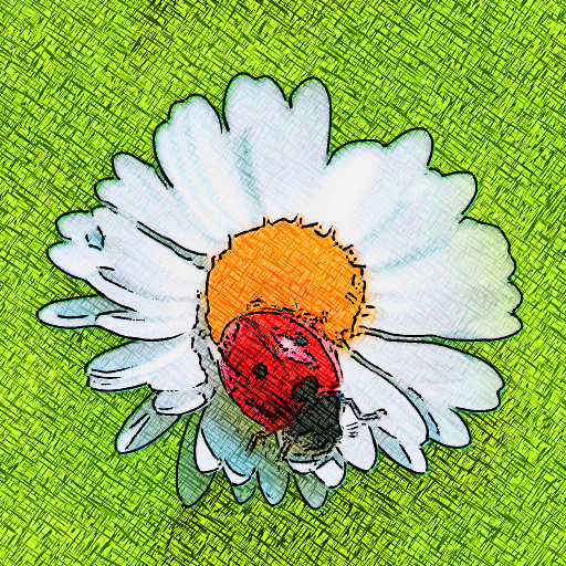 Variation 1