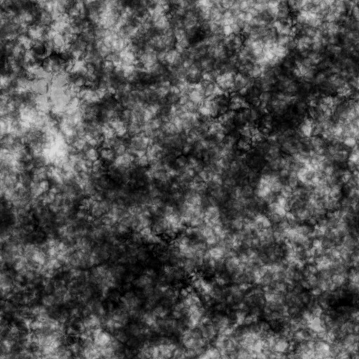 Bump Map