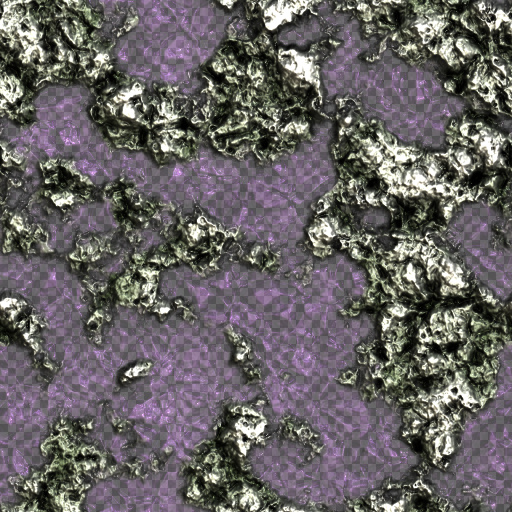 Variation 3