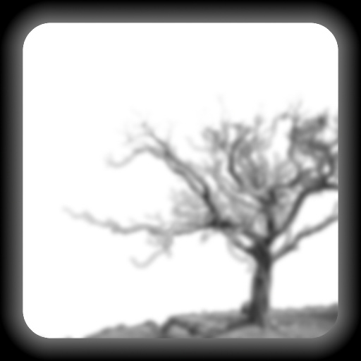 Bump Map