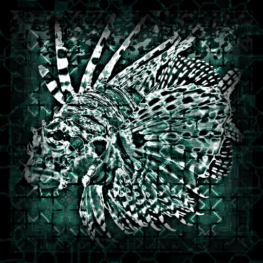 Variation 7