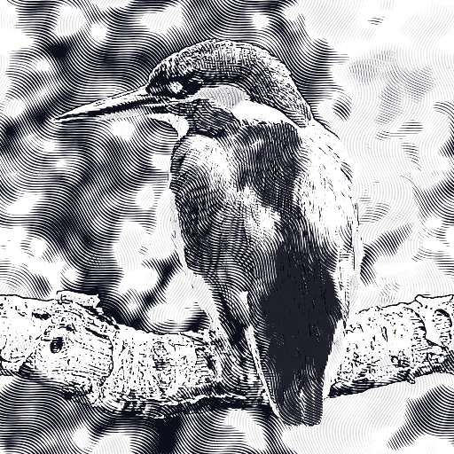 Variation 6