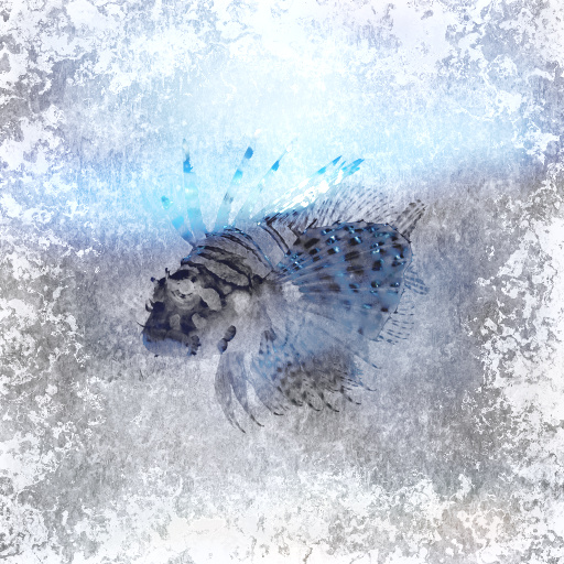 Variation 6