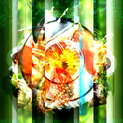 Variation 8