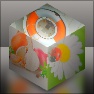 Images in cube