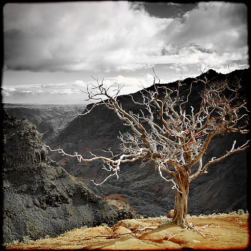 Variation 4