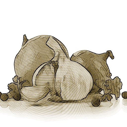Variation 5