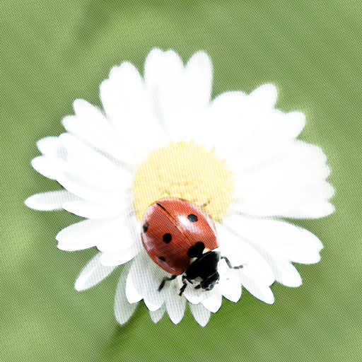 Variation 8