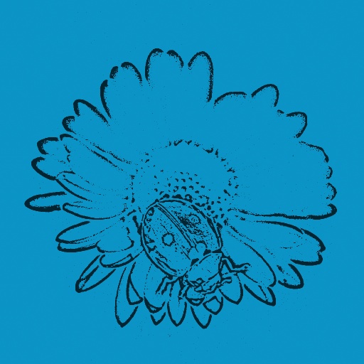 Variation 2
