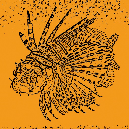 Variation 8