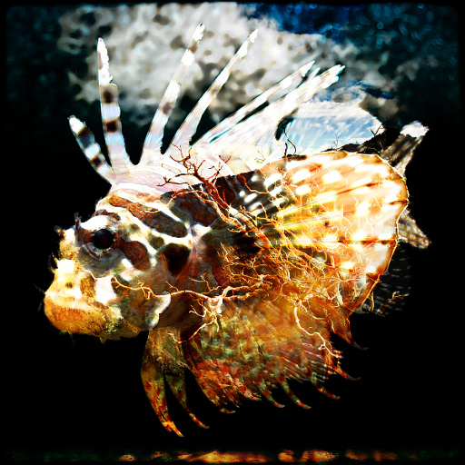 Variation 6