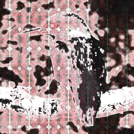 Variation 3