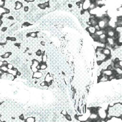 Variation 4