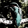 Gothic Photo Color Effect