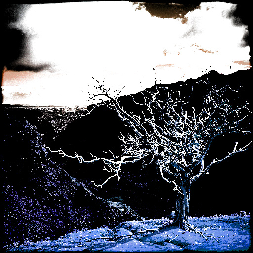 Variation 1