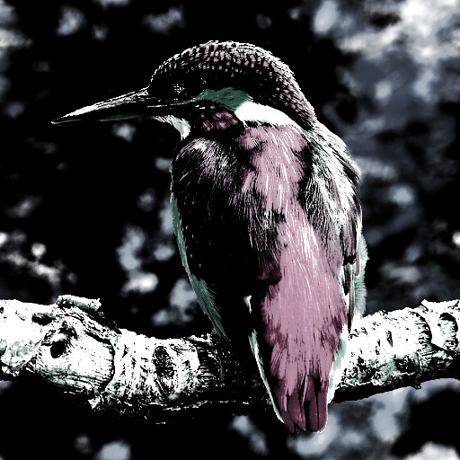 Variation 4