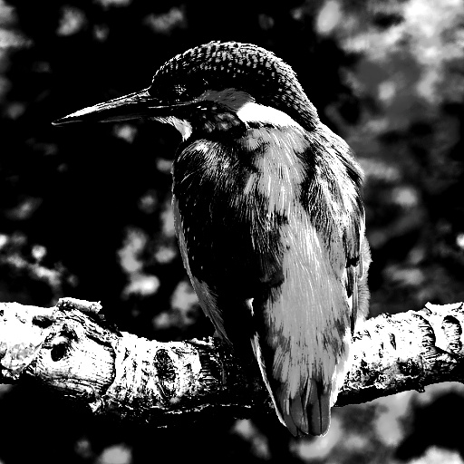 Variation 7