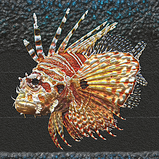 Variation 5