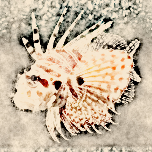 Variation 6