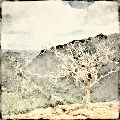 Variation 7