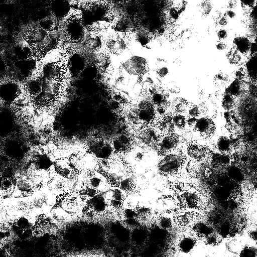 Ambient Occlusion Map