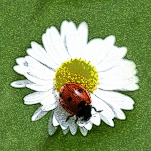Variation 6