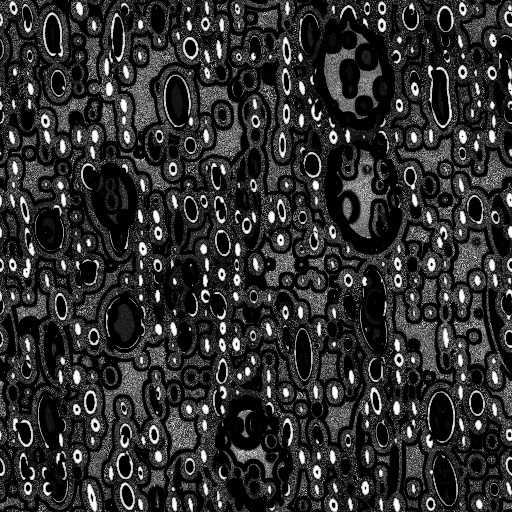 Reflective Occlusion Map