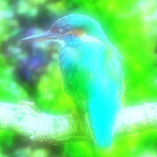 Variation 2