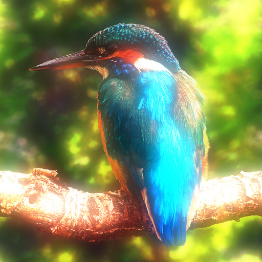 Variation 8