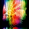 I See Rainbows