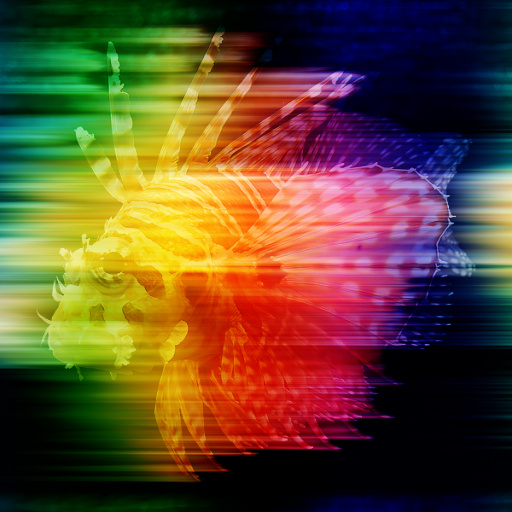 Variation 6