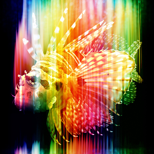 I See Rainbows (Effect)