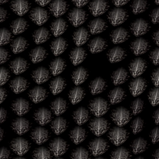 Variation 1
