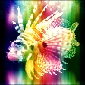 I See Rainbows Again