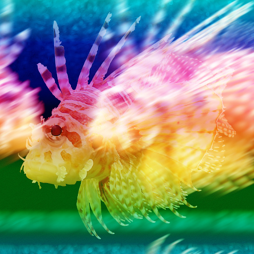 Variation 5