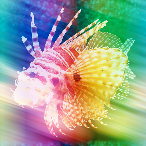 Variation 8
