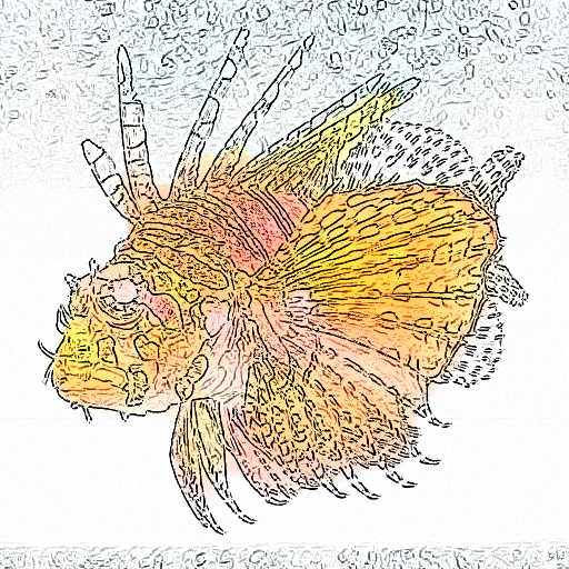 Variation 5