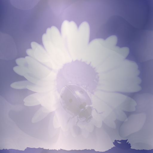 Variation 2