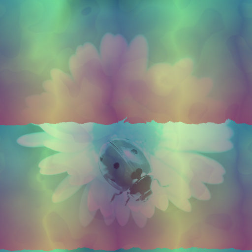 Variation 3