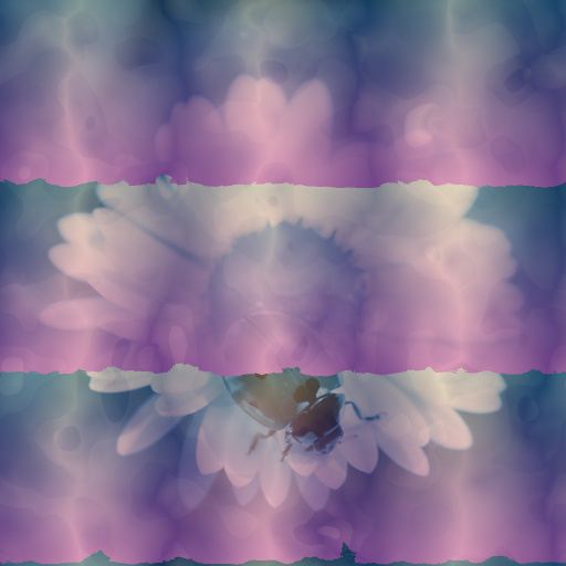 Variation 6