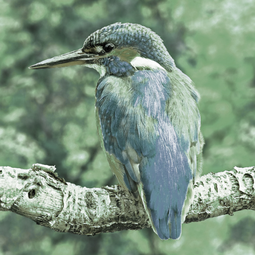 Variation 3