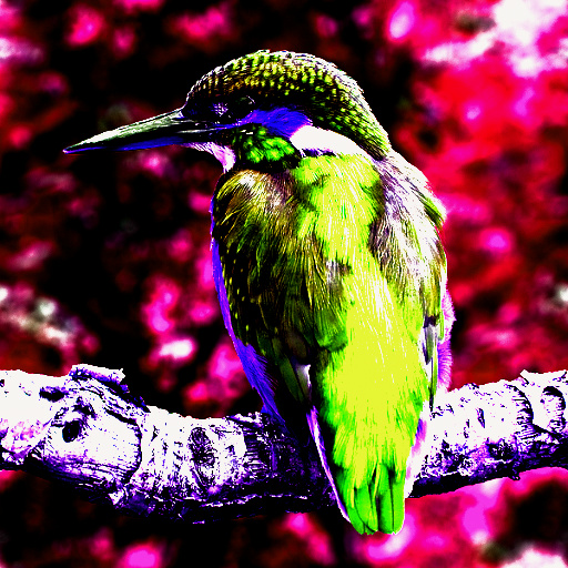 Variation 7