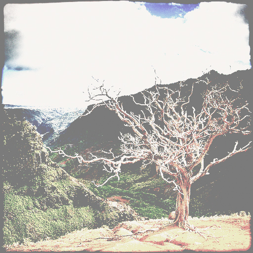 Variation 8