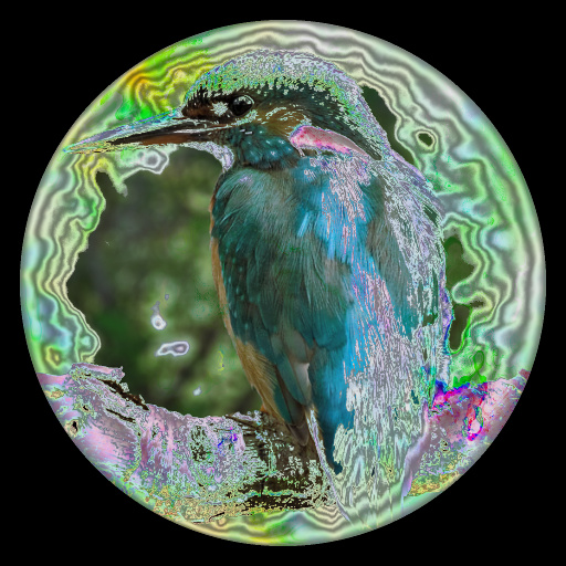 Variation 1